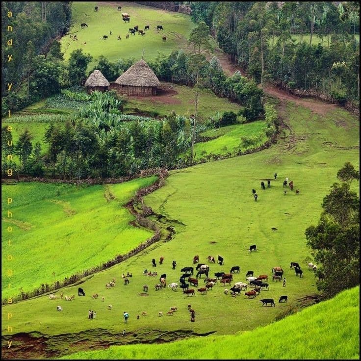 DESIGNING FOR ETHIOPIAN CLIMATE